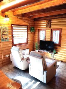 a living room with couches and a television in a cabin at Brvnara Vršac in Vršac