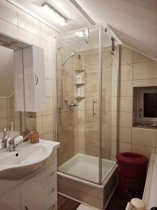 a bathroom with a shower and a sink at Gemütliches Apartment am Gottesberg in Muldenhammer +26 photos