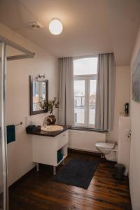 a bathroom with a sink and a toilet and a window at Cé La Vie in Maaseik +24 photos