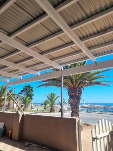 a patio with a palm tree and awning at House Magriet in Doring Bay