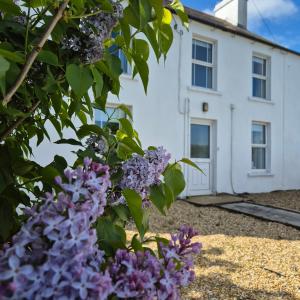 a white house with purple flowers in front of it at The Alpaca Farmhouse with hot tub and complimentary alpaca experience in Dromara