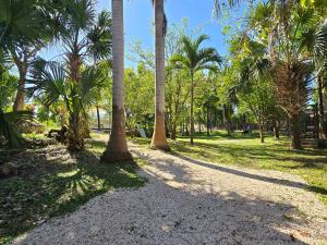 a path in a park with palm trees at Villa Carulio in Ebtún