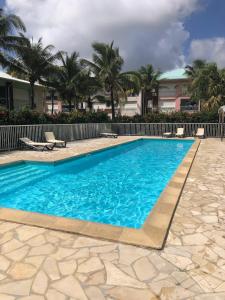 a swimming pool with chairs and palm trees at Grain de Corail in Saint-François