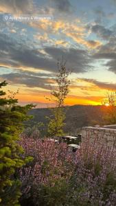 a sunset over a field of flowers with the sky at Ayda Bağları Winery & Vineyards in Seferihisar