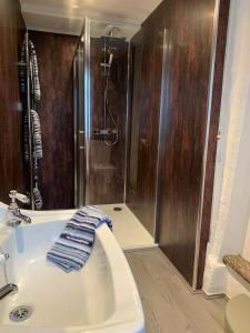 a bathroom with a shower and a white sink at Rorrington Hall in Chirbury +25 photos