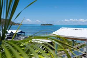 a view of the ocean from a beach at Posada Three Cay Suites in Providencia