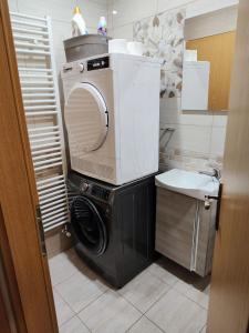 a washer and dryer in a small bathroom at Robert's Apartment in Celje +8 photos