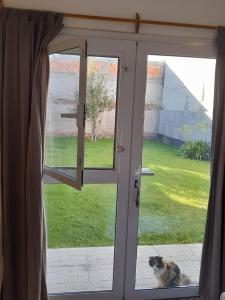 a cat sitting in front of a glass door at Habitación en casa familiar "FILOMENA" in Puerto Madryn