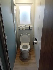 a small bathroom with a toilet with a window at chalet bella in Gasselte +9 photos