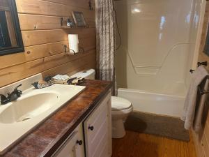 a bathroom with a sink and a toilet and a tub at Ducks Nest Retreat- Close to Ocoee river in Turtletown +7 photos