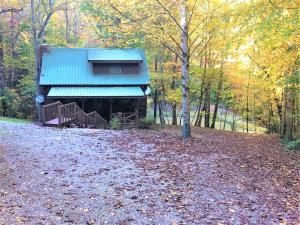a cabin with a blue roof in the woods at Ducks Nest Retreat- Close to Ocoee river in Turtletown
