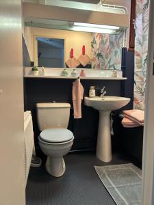 a bathroom with a toilet and a sink at Le Charme du Gaschney in Muhlbach-sur-Munster +20 photos