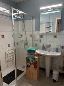 a bathroom with a shower and a sink and a shower at Maison ALCEMA in Carentan +16 photos