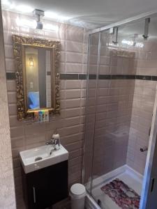 a bathroom with a shower and a sink and a mirror at Venus Casa in Solt +5 photos