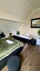 a bedroom with two beds and a mirror at Villa Utsikten Romsdalshorn in Åndalsnes
