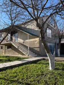 a building with a tree in front of it at TREFOIL in Lori Berd