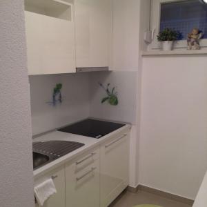 a small kitchen with white cabinets and a sink at Angelina Apartment in Zaprešić