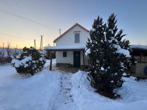 a house with a christmas tree in the snow at Cseligevi Vendégház in Szekszárd