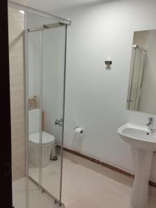 a bathroom with a shower and a toilet and a sink at Pensión 813 in Palas de Rei