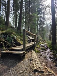 a wooden bridge on a trail in the woods at Slow Stay Coo in Stavelot +7 photos