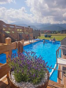 a swimming pool with blue water and purple flowers at Karczma Mikuda - Sauna Basen Jacuzzi z widokiem na góry - Kuligi - Parking in Zakopane
