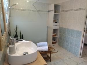 a bathroom with a white sink and a shower at Fleurs de Cosmos, suite lumineuse climatisée in Albi +37 photos