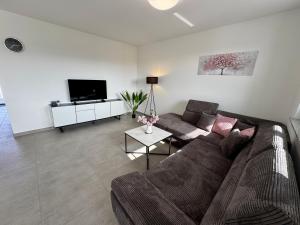 a living room with a couch and a tv at BILEANCA - Neubau-Ferienwohnungen Rheinhausen Europa-Park in Rheinhausen