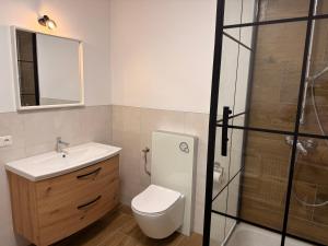 a bathroom with a toilet and a sink and a shower at Casa Daniela Residence in Vilshofen an der Donau