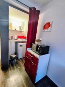a small kitchen with a microwave on a counter at Studio Les coquelicots in Saint-Romain-sur-Cher +20 photos