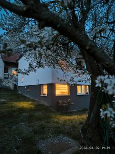 a house with a tree in front of it at Döbrönte MagLak in Döbrönte