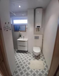a small bathroom with a toilet and a sink at Savi sviit in Mooste