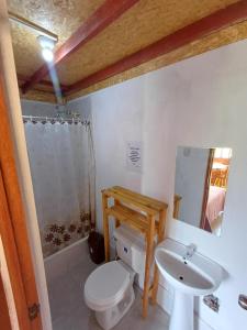 a bathroom with a white toilet and a sink at Casa Hospedaje el Prado Eco turismo in Oxapampa +40 photos