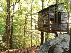 a tree house in the middle of the forest at Treetop Hideaways: Luna Loft Treehouse in Flintstone