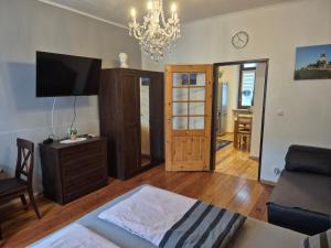a living room with a bed and a tv and a couch at Ehemaliges Winzerhaus Cochem in Cochem