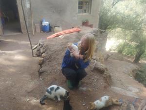 a young girl holding a goat and two cats at Sidi hssain in Amizmiz