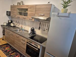 a kitchen with a refrigerator and a sink at Ehemaliges Winzerhaus Cochem in Cochem