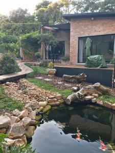 a pond in front of a house with a kite in it at Pond Cottage in Knysna +5 photos