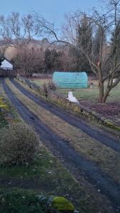 a dirt road with a blue trailer in a field at Southfork Farma Všetice in Benešov