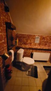 a bathroom with a toilet and a brick wall at Southfork Farma Všetice in Benešov