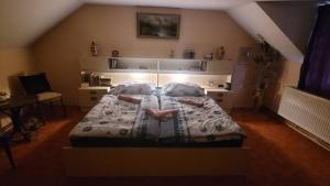 a bedroom with a bed with a person laying on it at Southfork Farma Všetice in Benešov