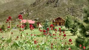 a field of red flowers in front of a house at La Araucaria in Potrerillos