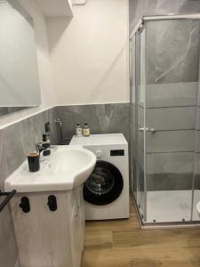 a bathroom with a sink and a washing machine at La Nicchia in Pieve di Cadore