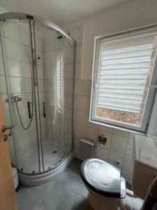 a bathroom with a shower and a toilet and a window at Appartement Ruhe mit zwei Schlafzimmern in Enkirch +29 photos