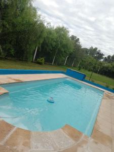 a large swimming pool with a toy in the water at Aurora in Santiago del Estero
