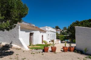 a group of potted plants in front of a building at Spacious & Artistic House with Pool by HostWise in Moncarapacho