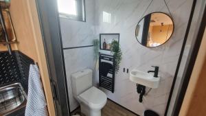 a small bathroom with a toilet and a sink at Nyth - Nest Llangollen in Llangollen