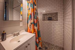 a bathroom with a sink and a shower curtain at The Frothy Flat- A Bunny Slippers Optional Destination in Chattanooga +21 photos