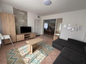 a living room with a couch and a tv at Barka Vendégház Tisza-tó in Abádszalók