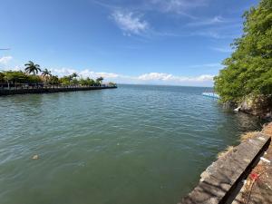 a large body of water with trees on the shore at Hostal Charlotte in La Unión