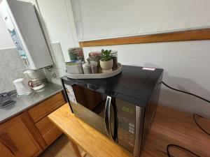 a microwave oven with plants on top of it at Las raíces departamentos in Ushuaia